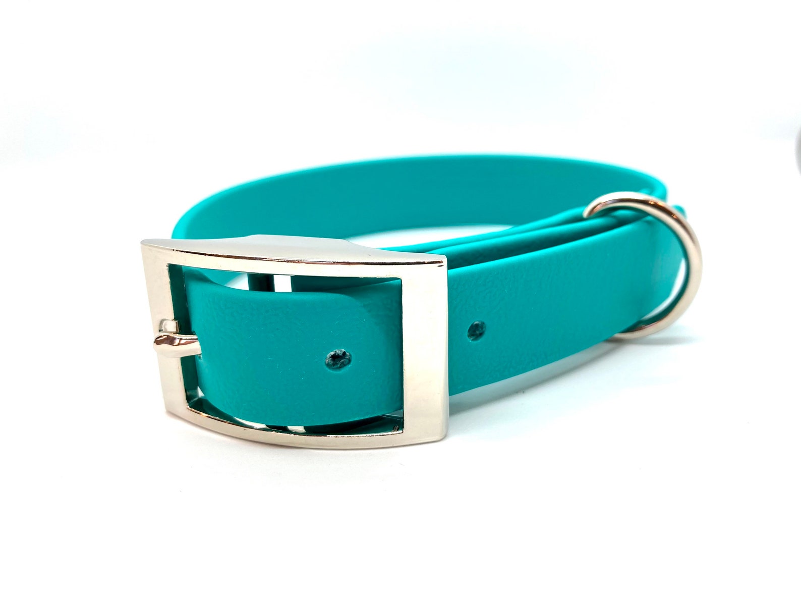 Teal Biothane Dog Collar Waterproof Dog Collar Etsy UK