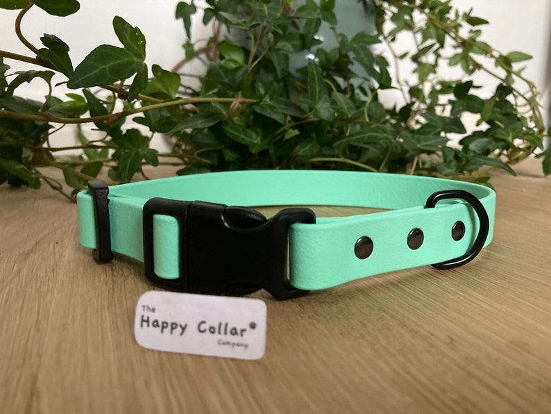 Biothane Dog Collar Waterproof Dog Collar Quick Release Etsy
