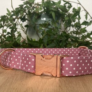 May include: A pink dog collar with white polka dots and a rose gold buckle. The collar is made by The Happy Collar Company.