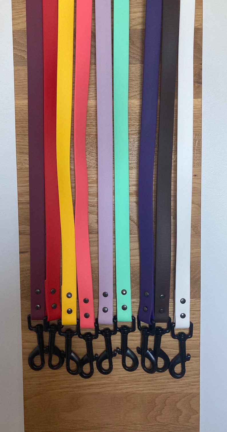 May include: Ten colorful dog leashes with black metal clips. The leashes are made of a rubber-like material and come in a variety of colors, including purple, red, yellow, pink, light purple, green, blue, brown, white, and black.