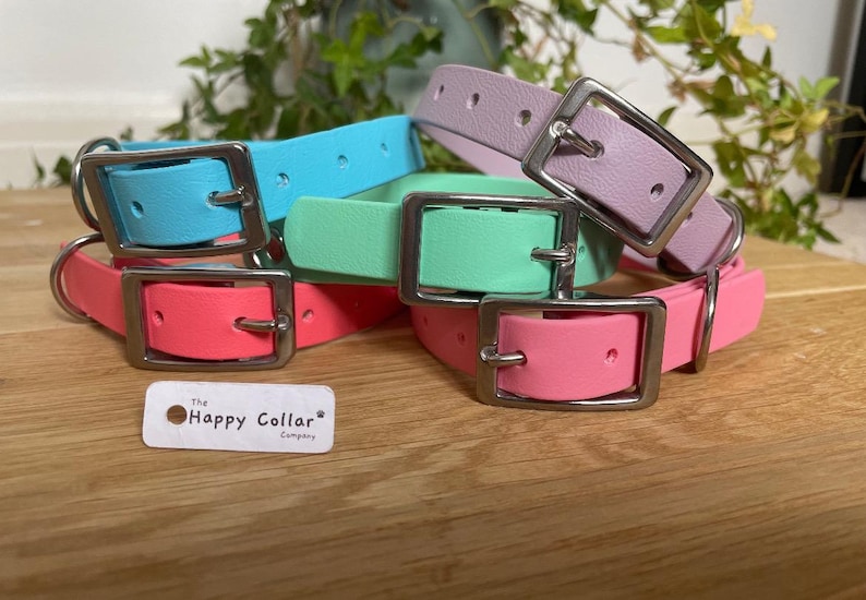 Waterproof Biothane Dog Buckle Collar | Design Your Own | Made in the UK image 5