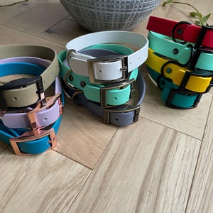 May include: Assortment of colorful dog collars with metal buckles. The collars are made of a rubber-like material and come in a variety of colors, including green, blue, yellow, and red.