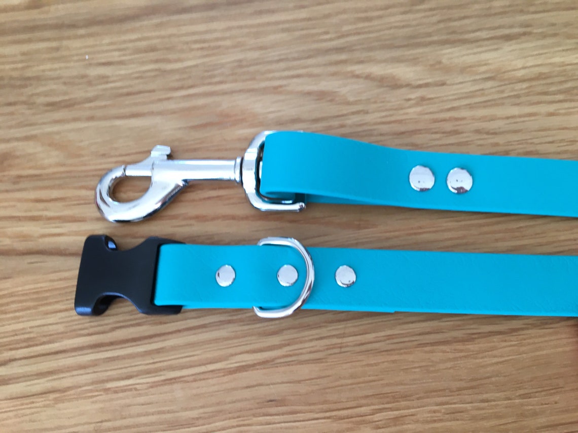 Teal Biothane Dog Collar Quick Release Waterproof Dog Collar Etsy