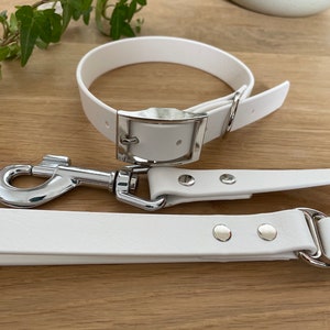 Könnte beinhalten: Halsband und Leine für Hunde aus weißem Leder mit silberner Schnalle und Beschlägen.