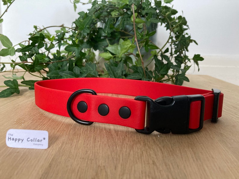 Biothane Dog Collar Waterproof Dog Collar Quick Release Etsy