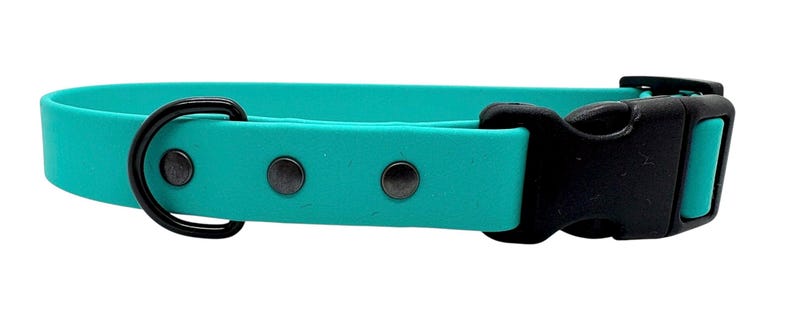 Waterproof Biothane Dog Collar with Quick Release Buckle Teal
