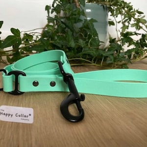 May include: A mint green dog leash with a black metal clip and a matching collar. The leash is coiled and the collar is laying flat. The text "The Happy Collar" is printed on a white tag.