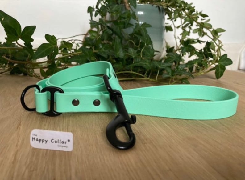 May include: A mint green dog leash with a black metal clip and a matching collar. The leash is coiled and the collar is laying flat. The text "The Happy Collar" is printed on a white tag.