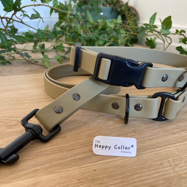 Biothane Dog Collar and Lead Sage Green