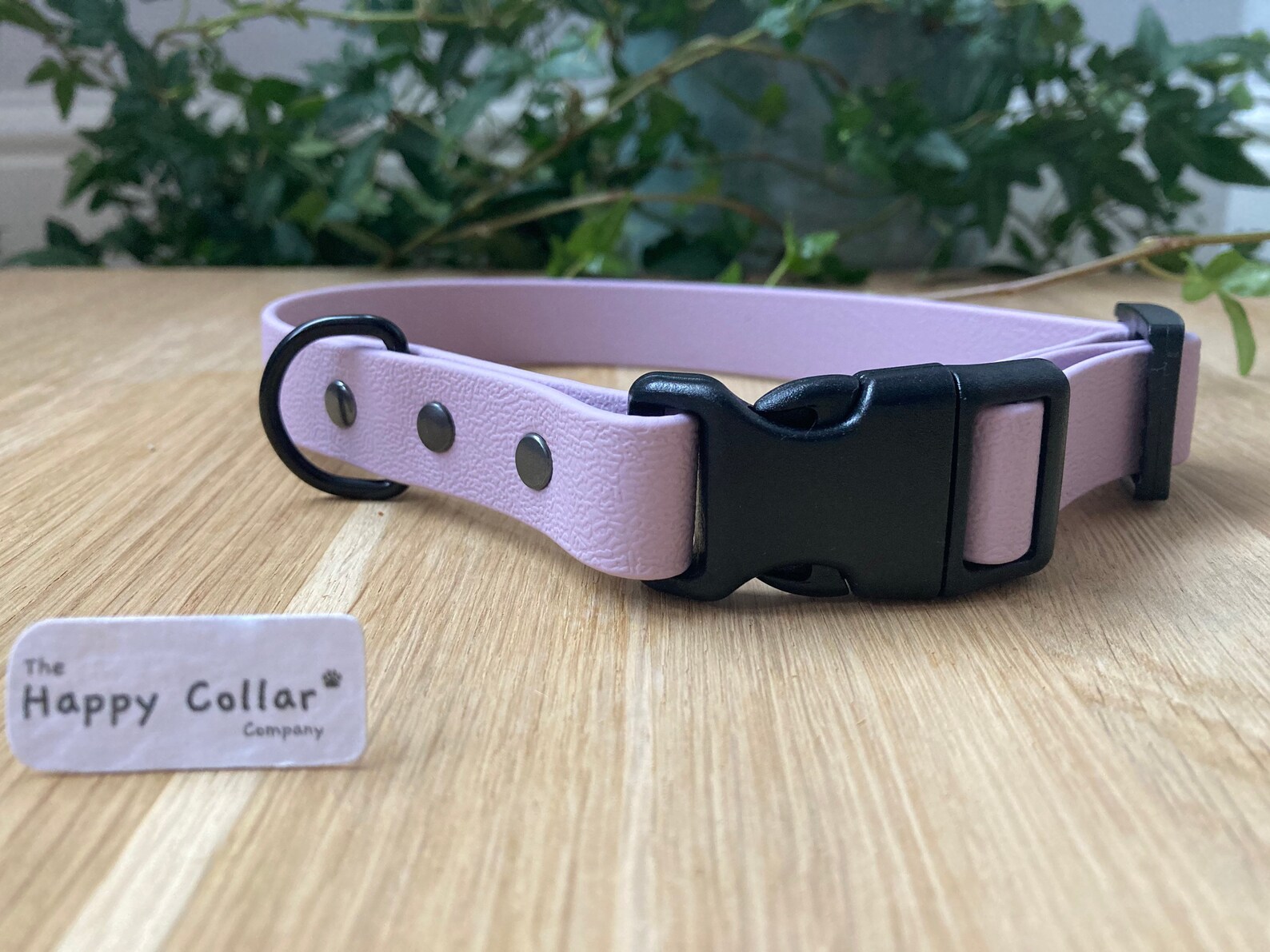 Biothane Dog Collar Waterproof Dog Collar Quick Release Etsy