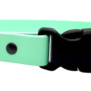 Waterproof Biothane Dog Collar with Quick Release Buckle Seafoam