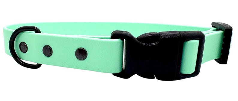 Waterproof Biothane Dog Collar with Quick Release Buckle Seafoam