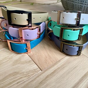 May include: A stack of colorful rubber dog collars with different colored buckles. The collars are in the following order from top to bottom: beige, lavender, teal, gray, and green.