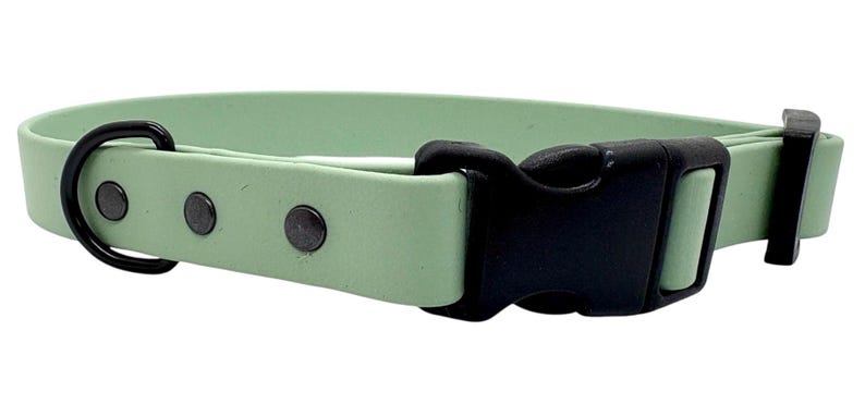 Waterproof Biothane Dog Collar with Quick Release Buckle Sage