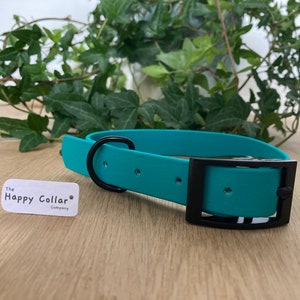 Collar para perros de biotano verde azulado: impermeable, duradero y fácil de limpiar