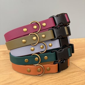 May include: A stack of five pet collars in magenta, olive green, light lavender, dark teal, and burnt orange. Each collar features a smooth matte finish, a black plastic side-release buckle, brass-toned metal rivets, and a matching brass-toned D-ring.