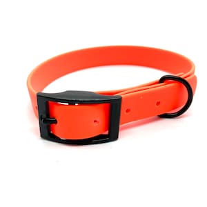 Könnte beinhalten: Ein leuchtend orangefarbenes Hundehalsband mit einer schwarzen Schnalle und einem schwarzen D-Ring.