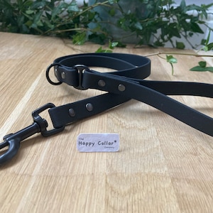 Può includere: Guinzaglio per cani in pelle nera con un moschettone in metallo e un piccolo cartellino con la scritta "The Happy Collar Company".