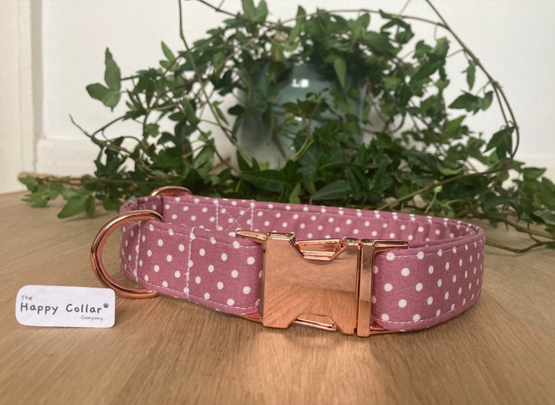 Rose Pink and White Polka Dot Dog Collar Rose Gold Dog Etsy UK