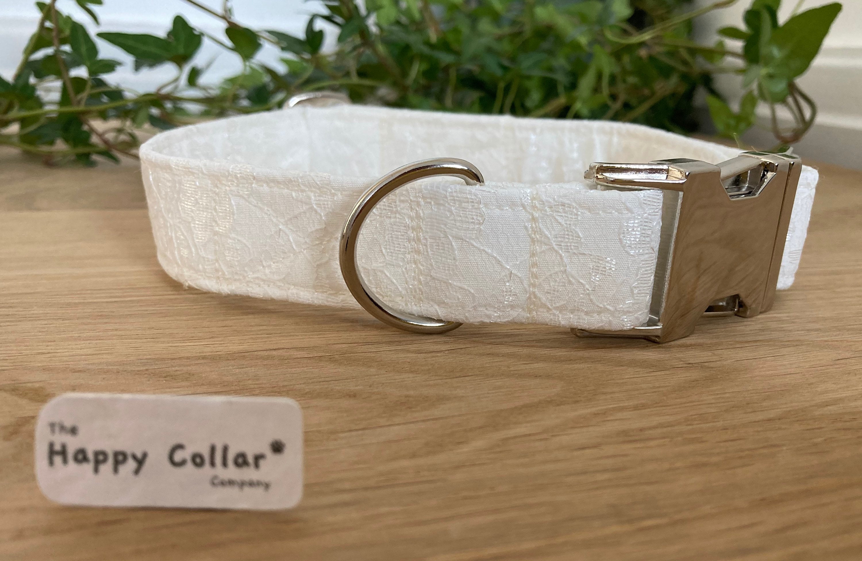 Ivory Lace Dog Collar Wedding Dog Collar Puppy Wedding Etsy UK