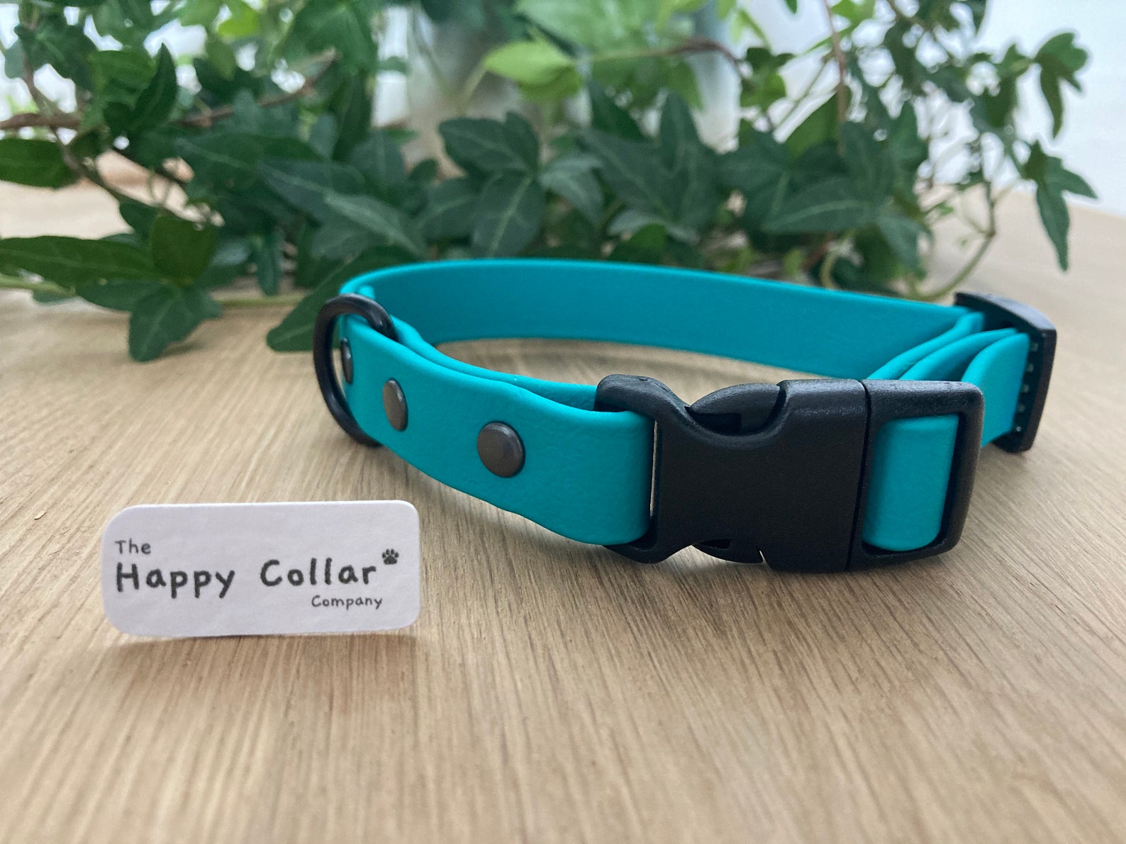 Biothane Dog Collar Waterproof Dog Collar Quick Release Etsy