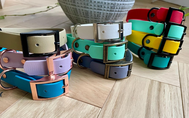May include: A stack of colorful dog collars with different colored buckles. The collars are made of rubber and come in a variety of colors, including teal, lavender, mint green, yellow, and red.
