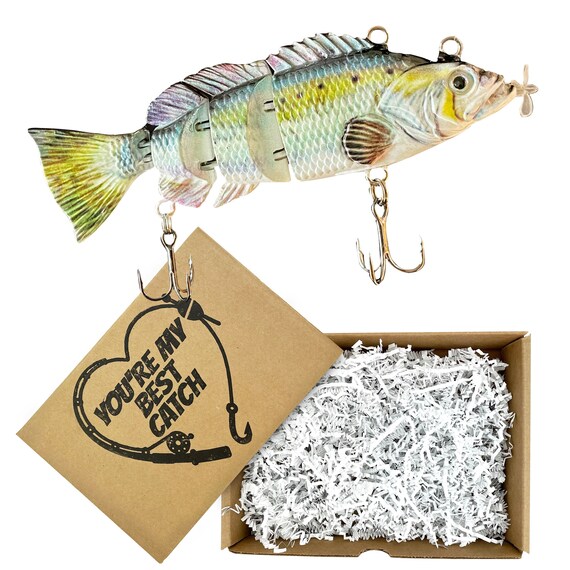 Gift for Men Who Loves Fishing Self Swimming Fishing Lure Custom
