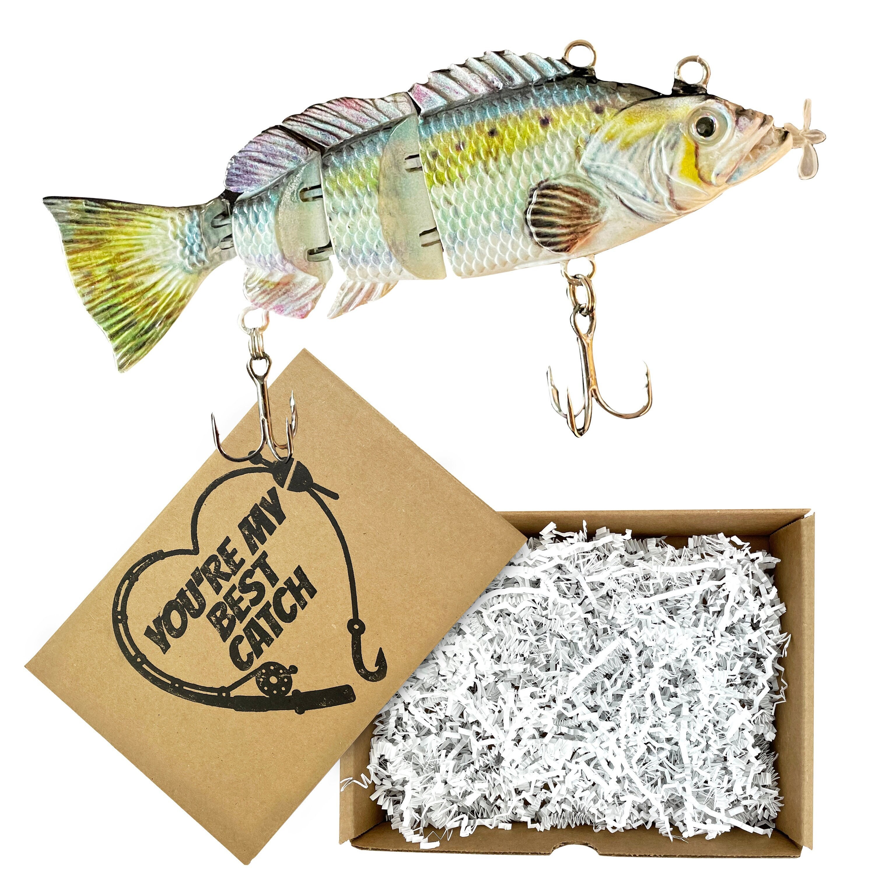 Gift for Men Who Loves Fishing Self Swimming Fishing Lure Custom