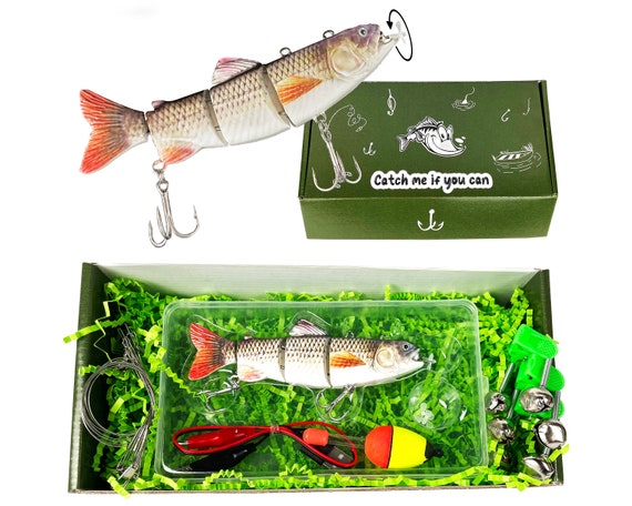 Gift for Dad Fishing Gift for Man Electronic Robotic Lure