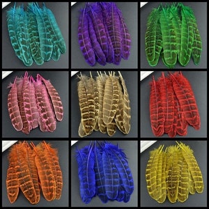 10x Pheasant Wing Feathers 10cm - 15cm Colour Fly Craft Hat Arts Decorations Wedding UK