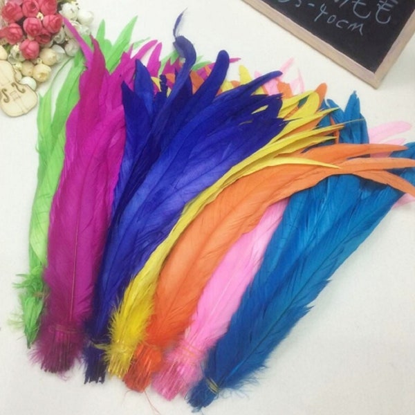 Longues plumes de queue de coq, nombreuses couleurs, chapeau artisanal, décorations artistiques, mariage, plumes de qualité B, 25 cm - 35 cm