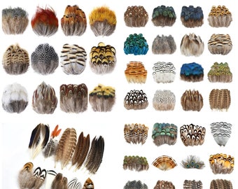 62 Style of Natural Real Feathers Pheasant Chicken Rooster Trimmings Craft Costume Decorative Arts Hats UK