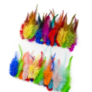 Colourful Rooster Feathers Many Colour Fly Craft Hat Arts Decorations Wedding Card UK