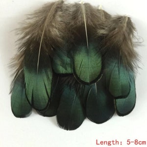 Shimmering Green Eyed Feathers 4cm - 8cm Pheasant Fly Craft Hat Arts Costume