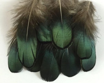 Shimmering Green Eyed Feathers 4cm - 8cm Pheasant Fly Craft Hat Arts Costume