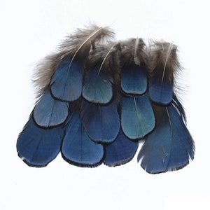 Shimmering Blue Eyed Feathers 4cm - 8cm Pheasant Fly Craft Hat Arts Costume