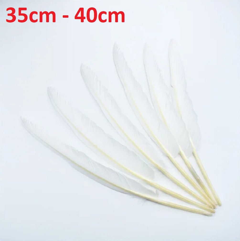 50 Pcs/Set Natural Colorful DIY Feather Craft Toys Creative natural Animal  Feather manual DIY Material Decoration Toys for Kids - Realistic Reborn  Dolls for Sale