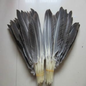 Wild Turkey Feathers 30-35cm Feathers Craft Hat Decorations Hat Sweing UK