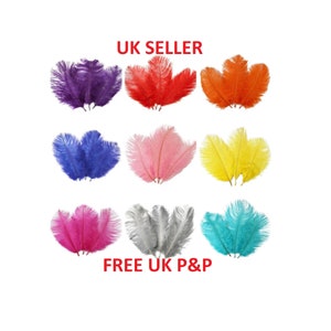 25-30 cm aproximadamente Hermosas plumas de avestruz Pluma de mosca Manualidades Sombreros Decoraciones Artes Fiestas Reino Unido