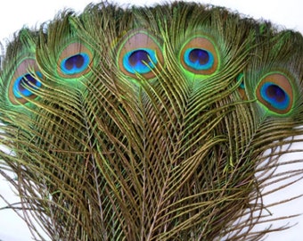 Peacock Tail Feathers 25-30cm Feathers Craft Hat Decorations Hat Sweing 10"-12"