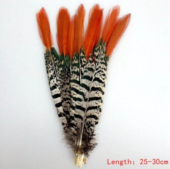 Red Cooper Fire Astuce Pheasant Tail Feathers Craft Chapeau Arts Décorations Mariage UK Red Cooper Fire Astuce Pheasant Tail Feathers Craft Chapeau Arts Décorations Mariage UK
