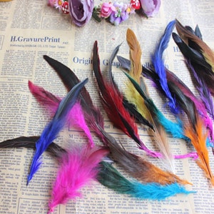 Rooster Tail Feathers Many Colour Fly Craft Hat Arts Decorations ...