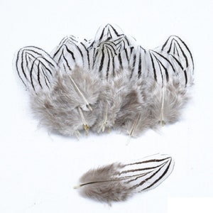 Rare Silver Lady White Feathers 4cm - 8cm Pheasant Fly Craft Hat Arts Costume