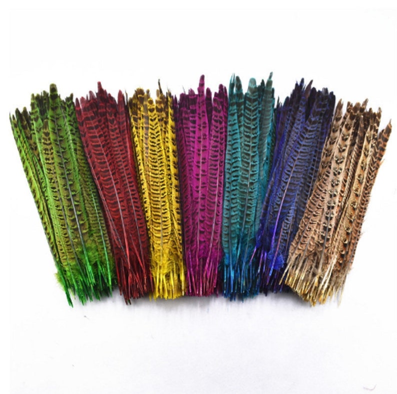 10x Pheasant Tail Feathers 22cm - 30cm Colour Fly Craft Hat Arts