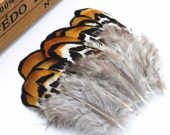 Rare Tortoiseshell Brown Feathers 4cm - 8cm Rooster Fly Craft Hat Arts Costume UK