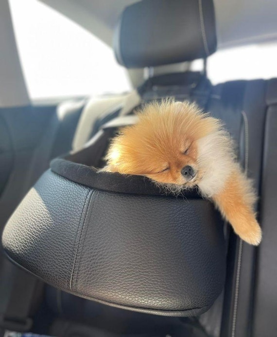 HomeChi Console Dog Car Seat, Pet Booster Seat For Car With Safety Belt And Soft Cushions, Anti-Collapse Center Console Dog Car Seat With Detachable Support Portable Dog Carriers For Small Dogs - View #11