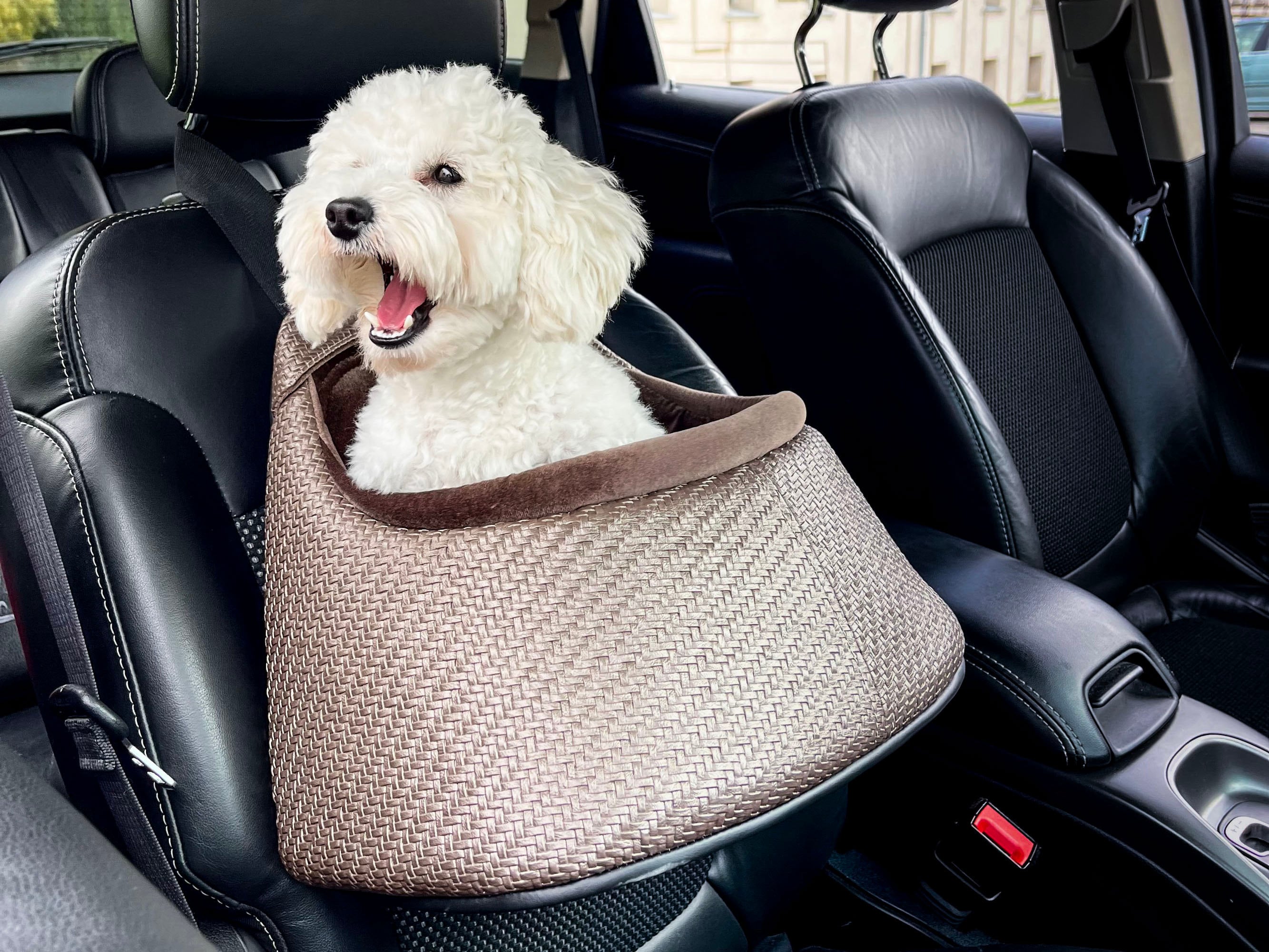 LV Luxury Pomeranian Dog Car Seat