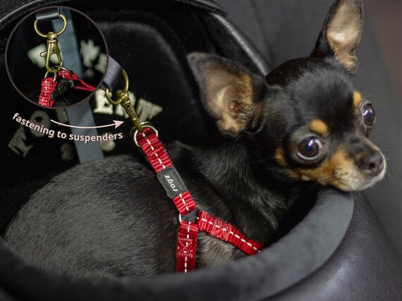 Transportin chihuahua new arrivals