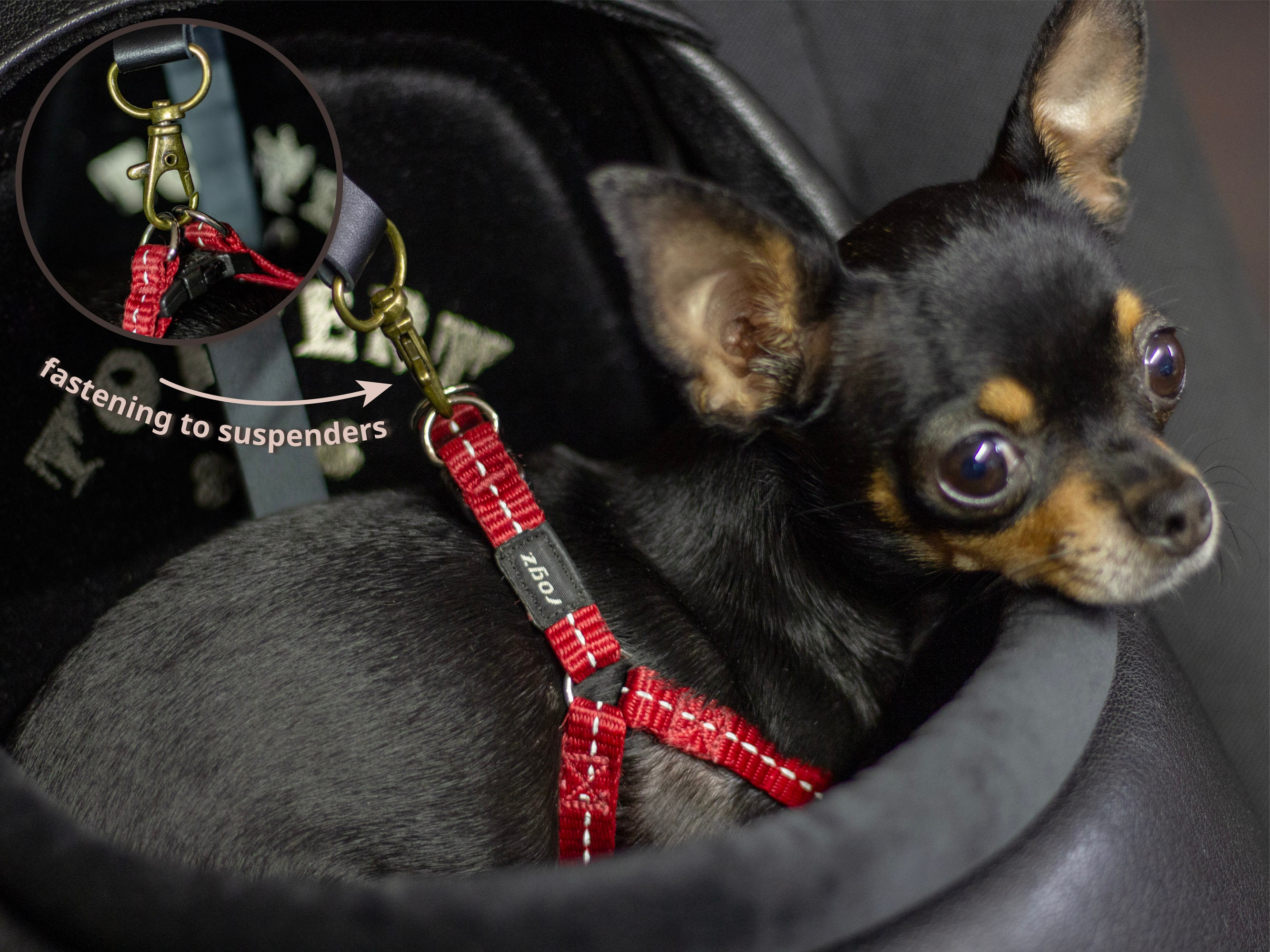 Haustier Auto Isolation Netz Hundesitz Schutz Hund Antikollision Haustier  Supplieseinfach zu installieren, Auto Teiler für sicheres Fahren mit  Kindern und Haustieren