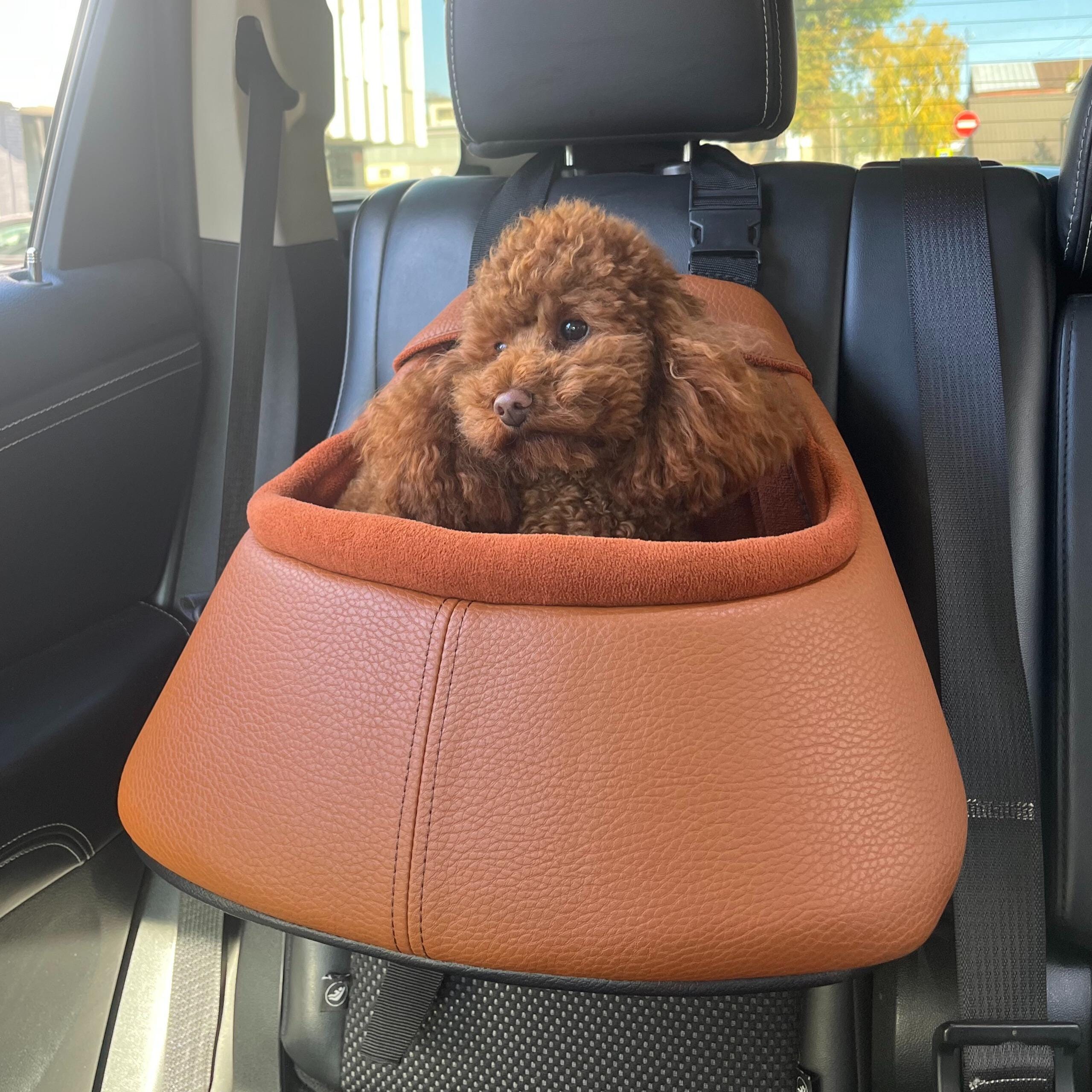 Louis vuitton dog carrier - Etsy 日本